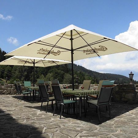Hotel Studenec Rožmberk nad Vltavou Eksteriør bilde